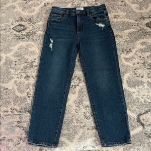 AGOLDE Straight Jeans